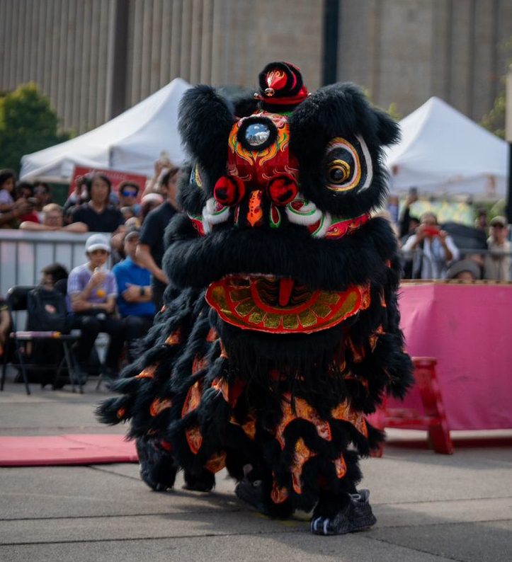 Red black lion comp pic e1731748566481